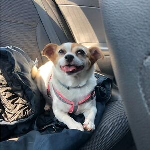 Meet your Posher, Abraham